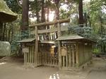 DSC03981.JPG